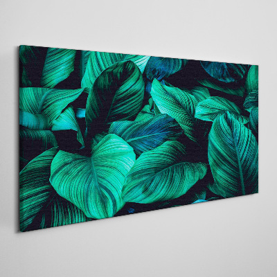 Obraz Canvas Zielone liście tropikalne