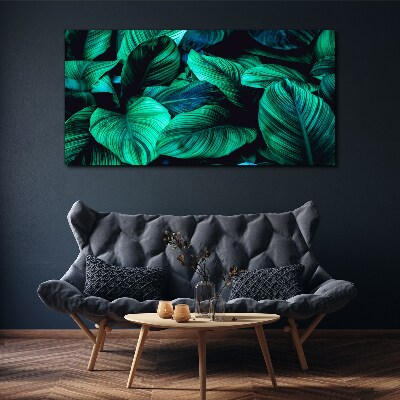 Obraz Canvas Zielone liście tropikalne