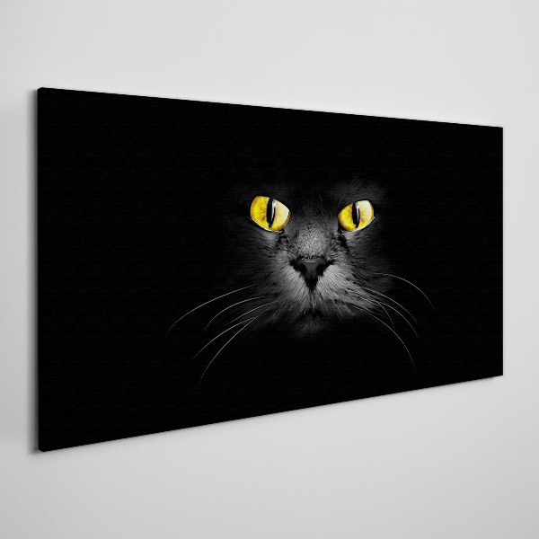 Obraz Canvas Złote oczy kota w cieniu
