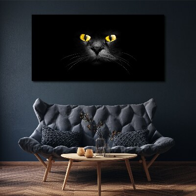 Obraz Canvas Złote oczy kota w cieniu