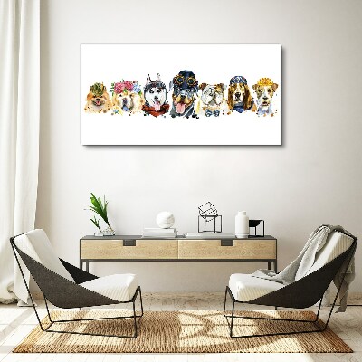 Obraz Canvas zwierzę psy