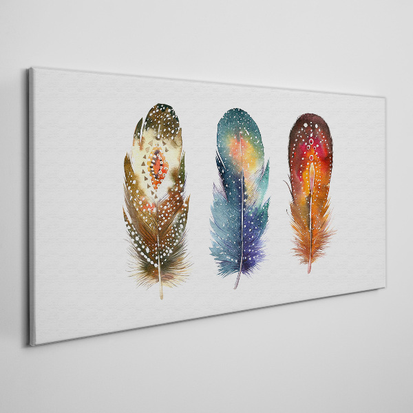 Obraz Canvas Kolorowe Pióra