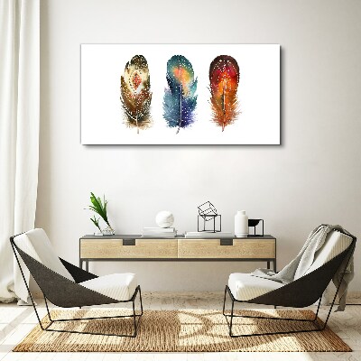 Obraz Canvas Kolorowe Pióra