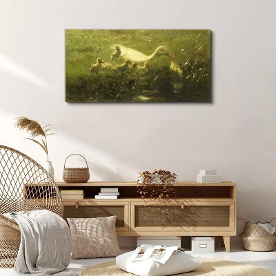 Obraz Canvas Zwierzęta Kaczki Trawa Natura