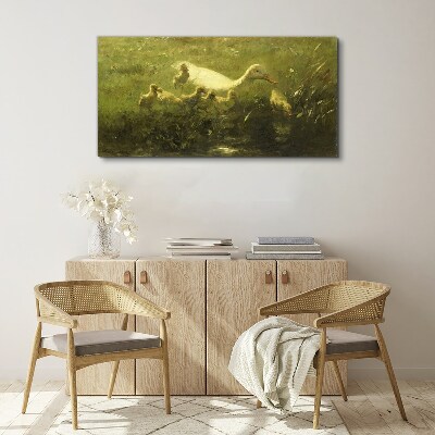 Obraz Canvas Zwierzęta Kaczki Trawa Natura