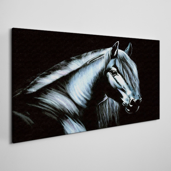 Obraz Canvas Czarny koń w blasku światła
