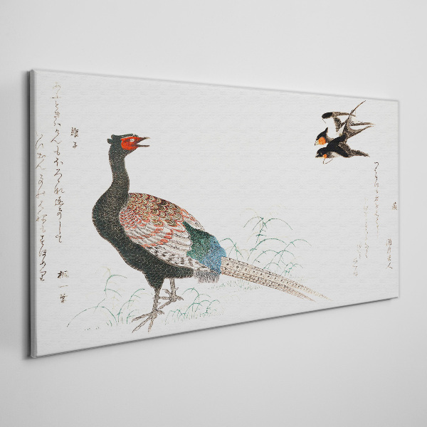 Obraz Canvas Pawi taniec w wiosennym krajobrazie