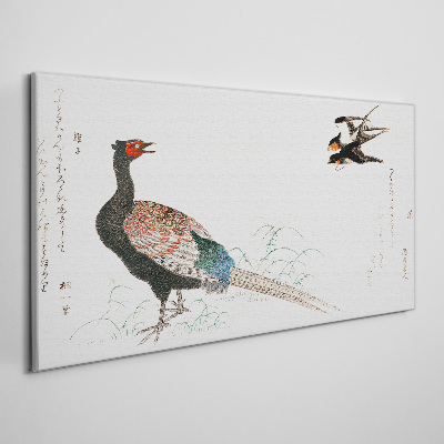 Obraz Canvas Pawi taniec w wiosennym krajobrazie