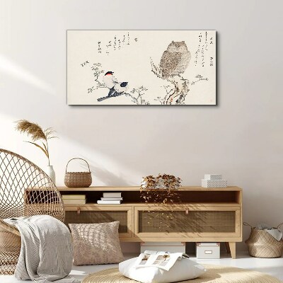 Obraz Canvas Gałąź Zwierzęta Ptaki Sowa