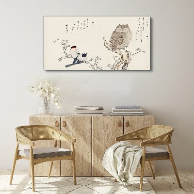 Obraz Canvas Gałąź Zwierzęta Ptaki Sowa