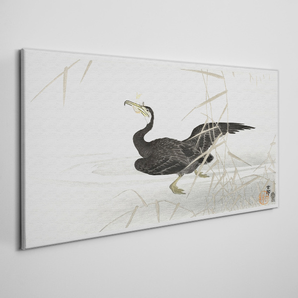 Obraz Canvas Czarny kormoran wśród trzcin