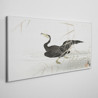 Obraz Canvas Czarny kormoran wśród trzcin