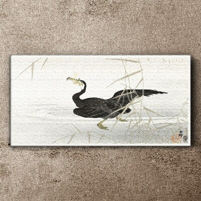 Obraz Canvas Czarny kormoran wśród trzcin