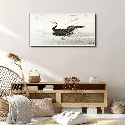 Obraz Canvas Czarny kormoran wśród trzcin