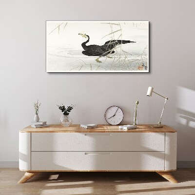 Obraz Canvas Czarny kormoran wśród trzcin
