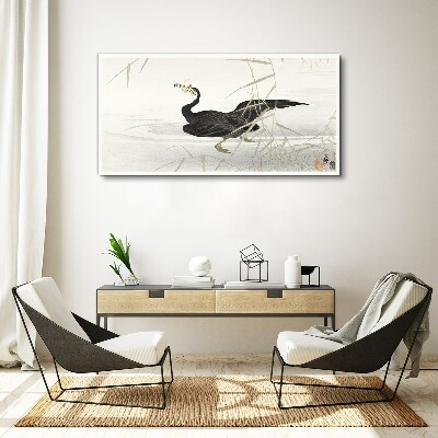 Obraz Canvas Czarny kormoran wśród trzcin