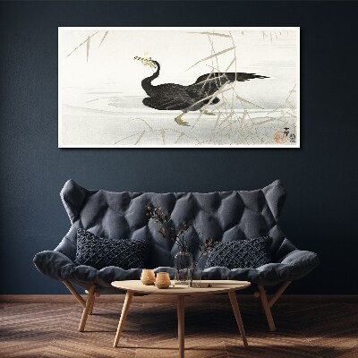 Obraz Canvas Czarny kormoran wśród trzcin