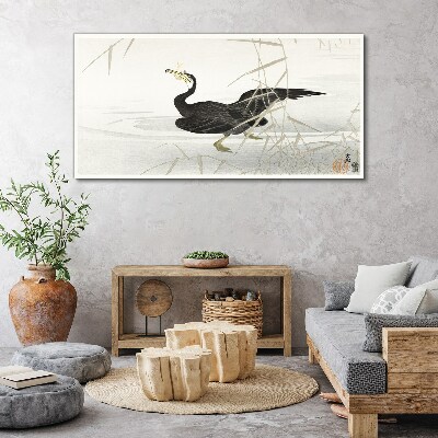 Obraz Canvas Czarny kormoran wśród trzcin