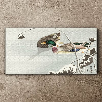 Obraz Canvas Spokojna scena z kaczkami
