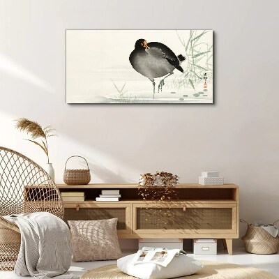 Obraz Canvas Zwierzę Ptak Woda