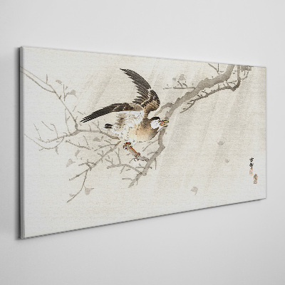 Obraz Canvas Gałąź Zwierzęta Ptaki