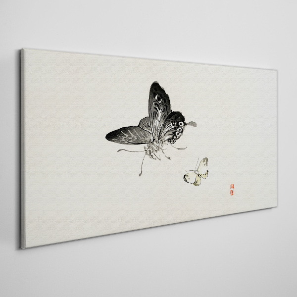 Obraz Canvas Motyle w delikatnej harmonii