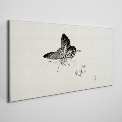 Obraz Canvas Nowoczesny Owady Motyl
