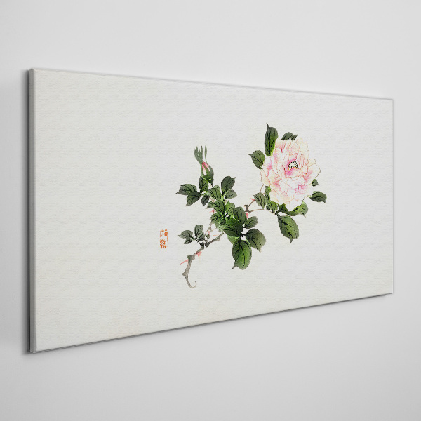 Obraz Canvas Kwiat peonii na jasnym tle