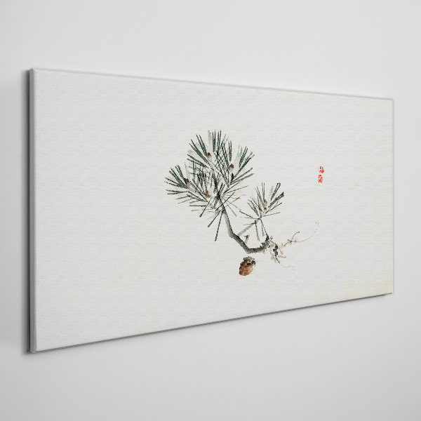 Obraz Canvas „Sosna na białym tle”