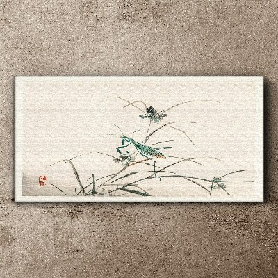 Obraz Canvas Motyl na trawie