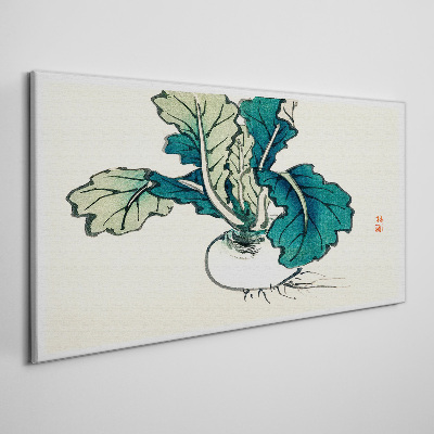 Obraz Canvas Zielona rzodkiew na jasnym tle