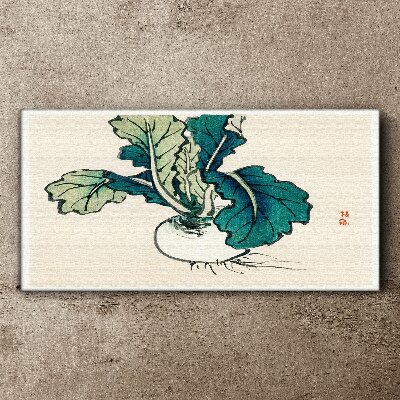 Obraz Canvas Zielona rzodkiew na jasnym tle