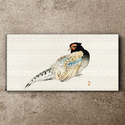 Obraz Canvas Pheasant in Elegant Plumage