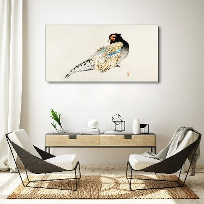 Obraz Canvas Pheasant in Elegant Plumage