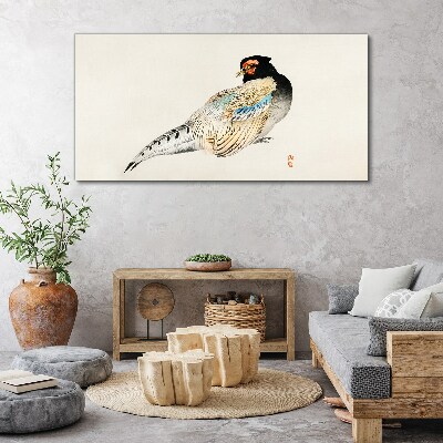 Obraz Canvas Pheasant in Elegant Plumage