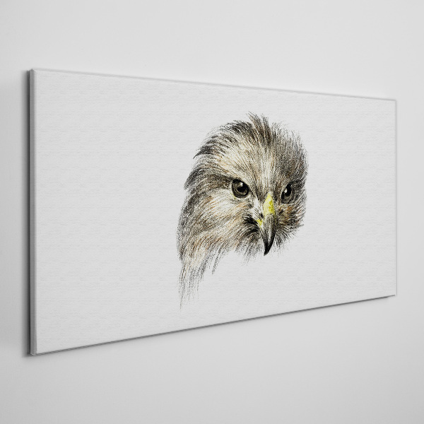 Obraz na Płótnie Portret ptaka drapieżnego