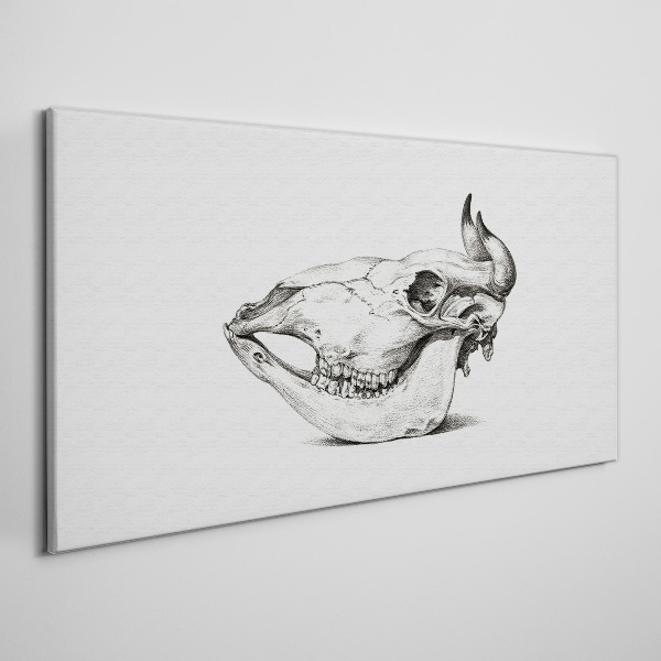 Obraz Canvas Czaszka zwierzęcia