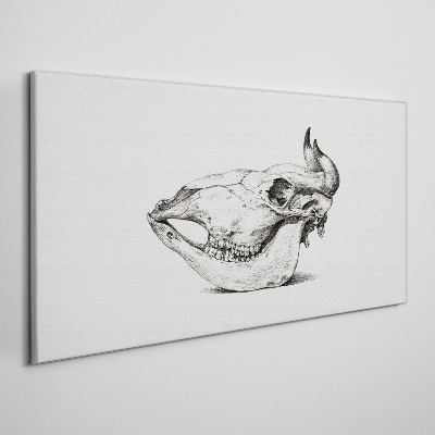 Obraz Canvas Czaszka zwierzęcia