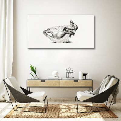 Obraz Canvas Czaszka zwierzęcia