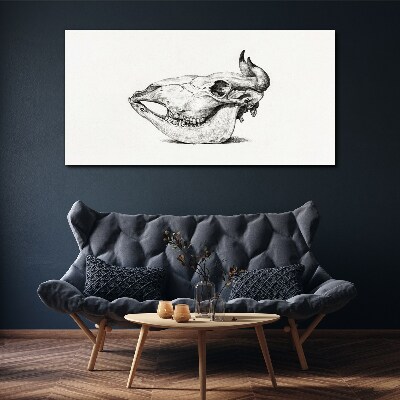 Obraz Canvas Czaszka zwierzęcia