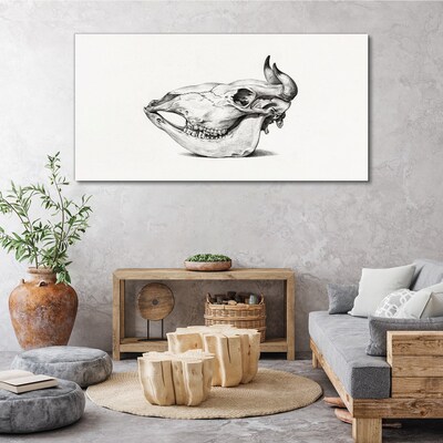 Obraz Canvas Czaszka zwierzęcia