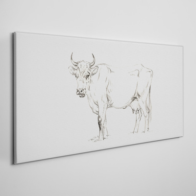 Obraz Canvas „Krowa na tle białym”