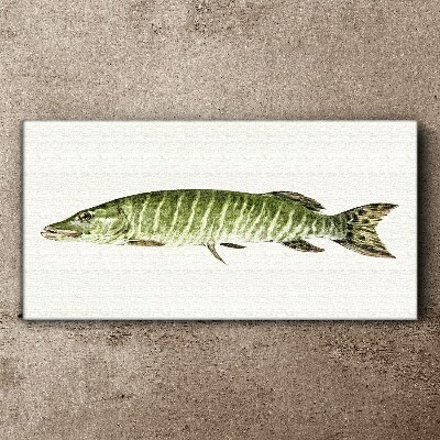 Obraz Canvas Muskie w naturalnym środowisku