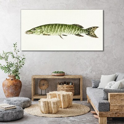 Obraz Canvas zwierzę ryba
