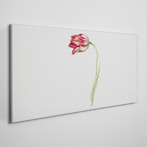 Obraz Canvas Tulipan w delikatnych odcieniach
