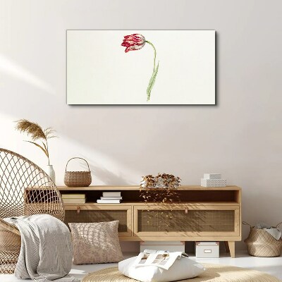 Obraz Canvas Tulipan w delikatnych odcieniach