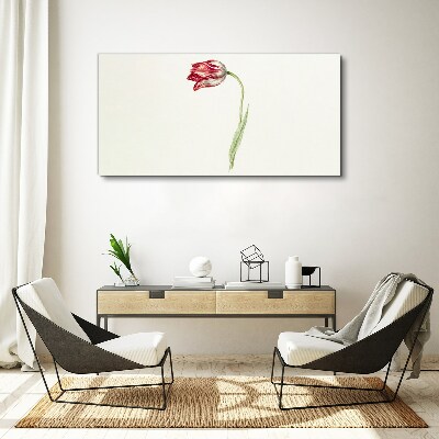 Obraz Canvas Tulipan w delikatnych odcieniach