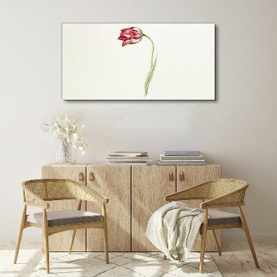 Obraz Canvas Tulipan w delikatnych odcieniach