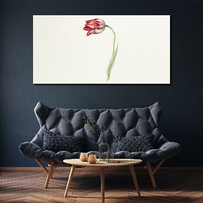 Obraz Canvas Tulipan w delikatnych odcieniach