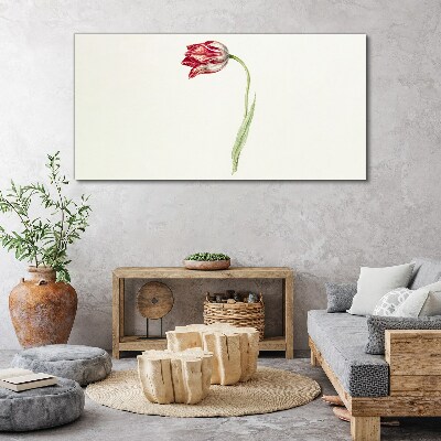 Obraz Canvas Tulipan w delikatnych odcieniach